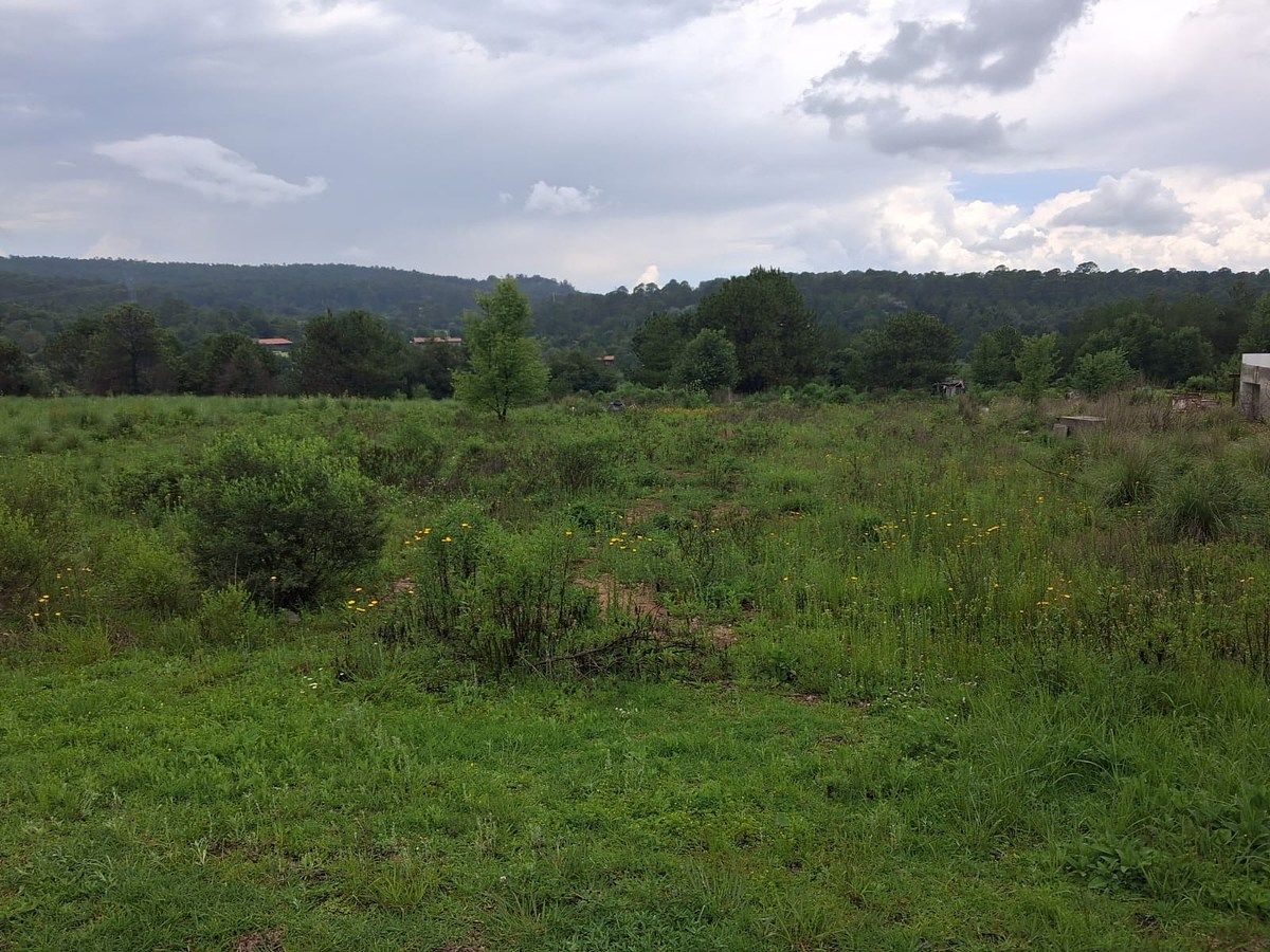 Terreno Premium en Valle del Lago – Tapalpa, Jalisco