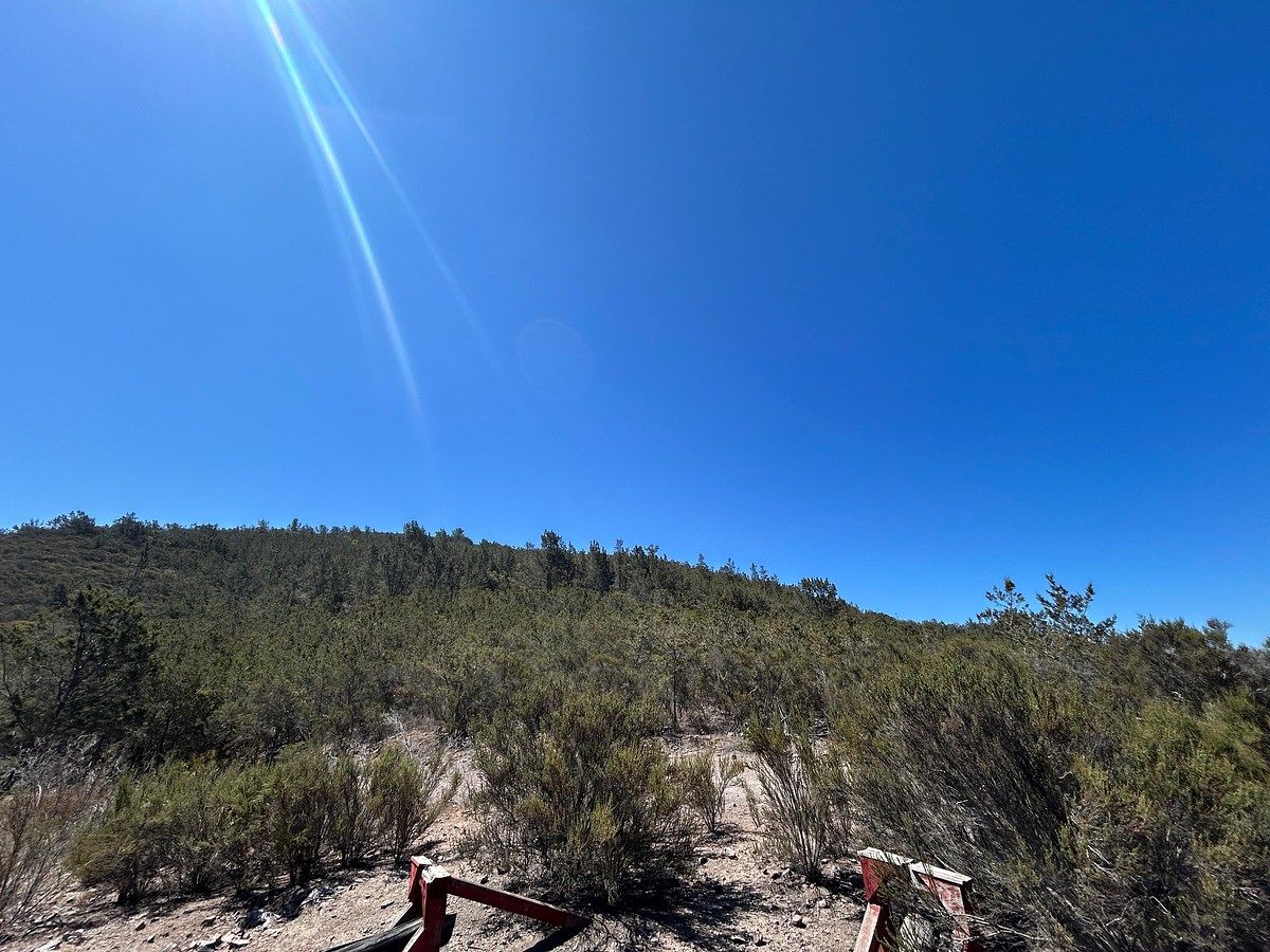 LAND FOR SALE 91 Hectares, photo 1 of 13