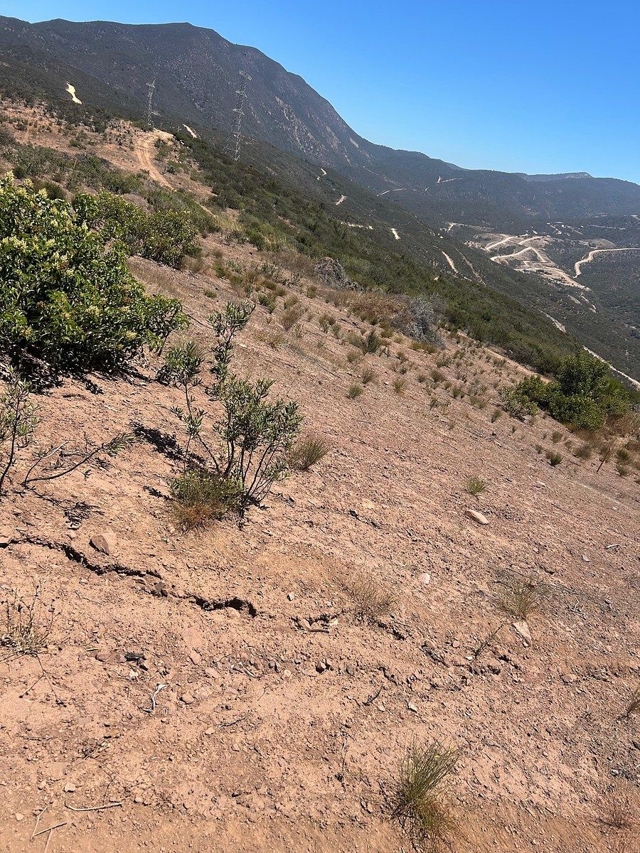 Lot in Ensenada Centro, Ensenada, photo 11 of 13