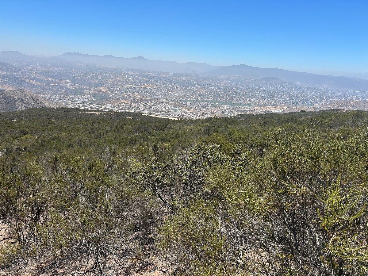 Lot in Ensenada Centro, Ensenada, photo 13 of 13