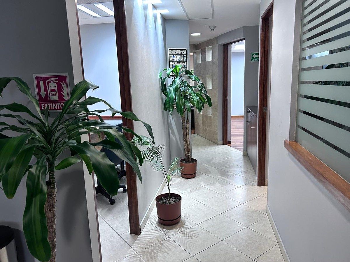 Sala Comercial em Paseo de las Lomas, Álvaro Obregón, foto 2 de 19