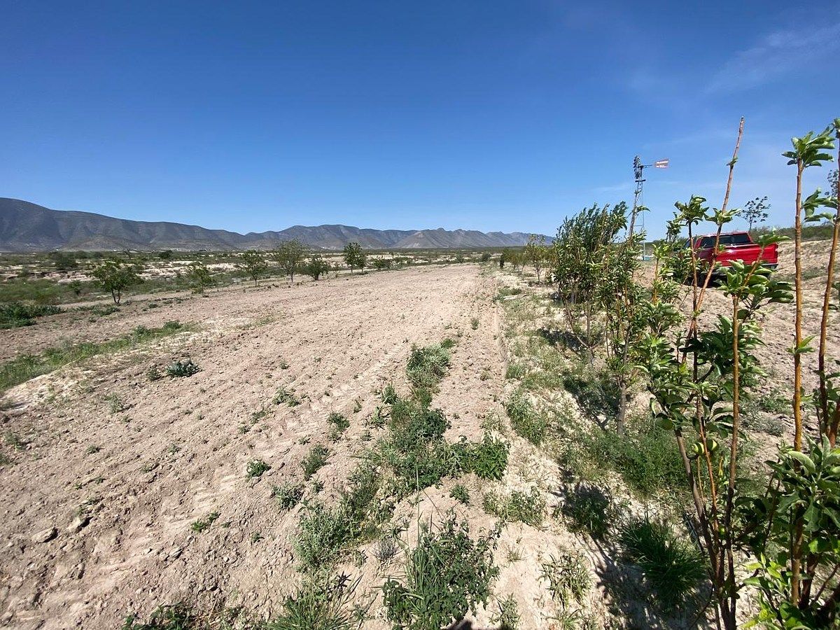 Lote em Parras, Parras, foto 6 de 6