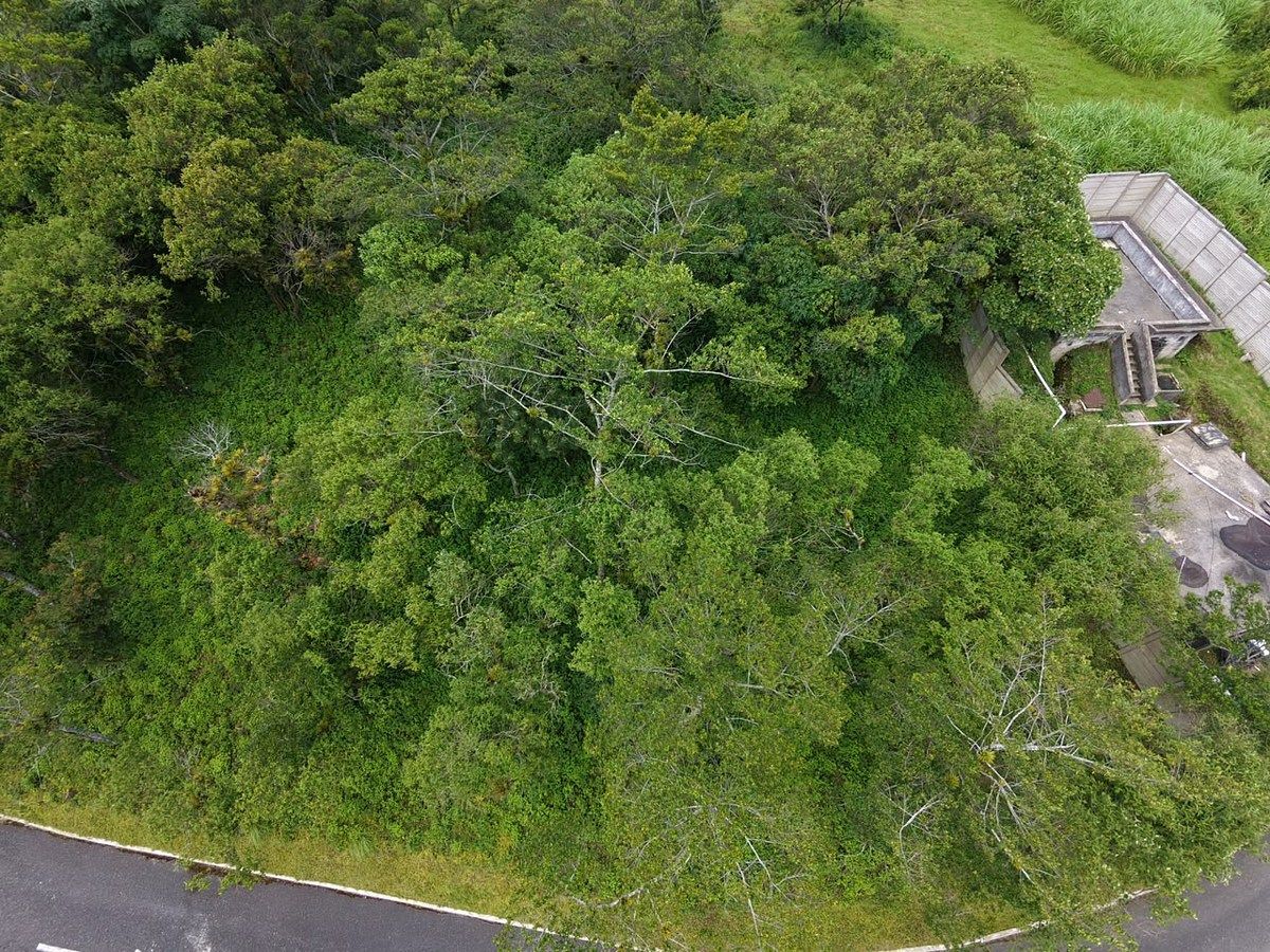 Terreno en San Miguel Buena Vista, Santa Catarina Pinula, foto 2 de 4