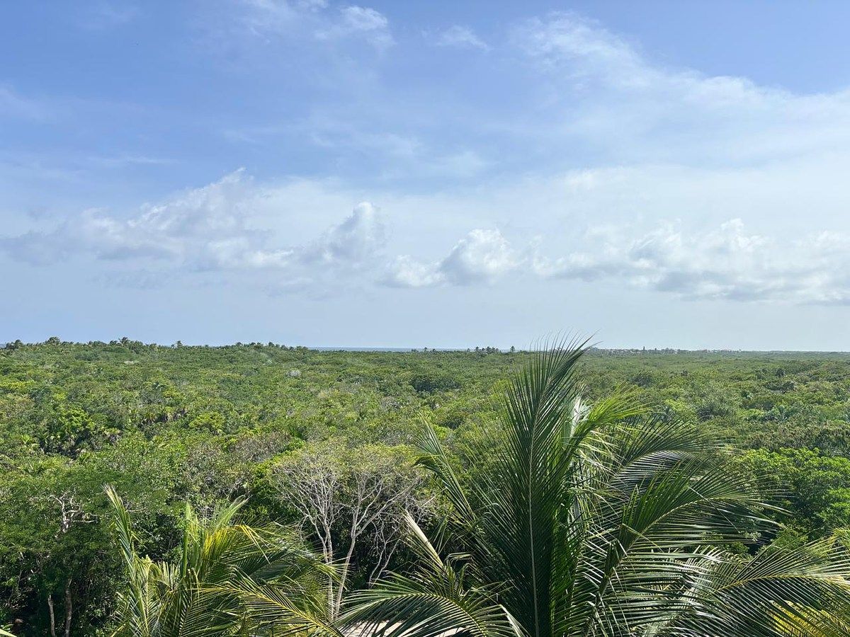 Apartamento em Akumal, Tulum, foto 40 de 47