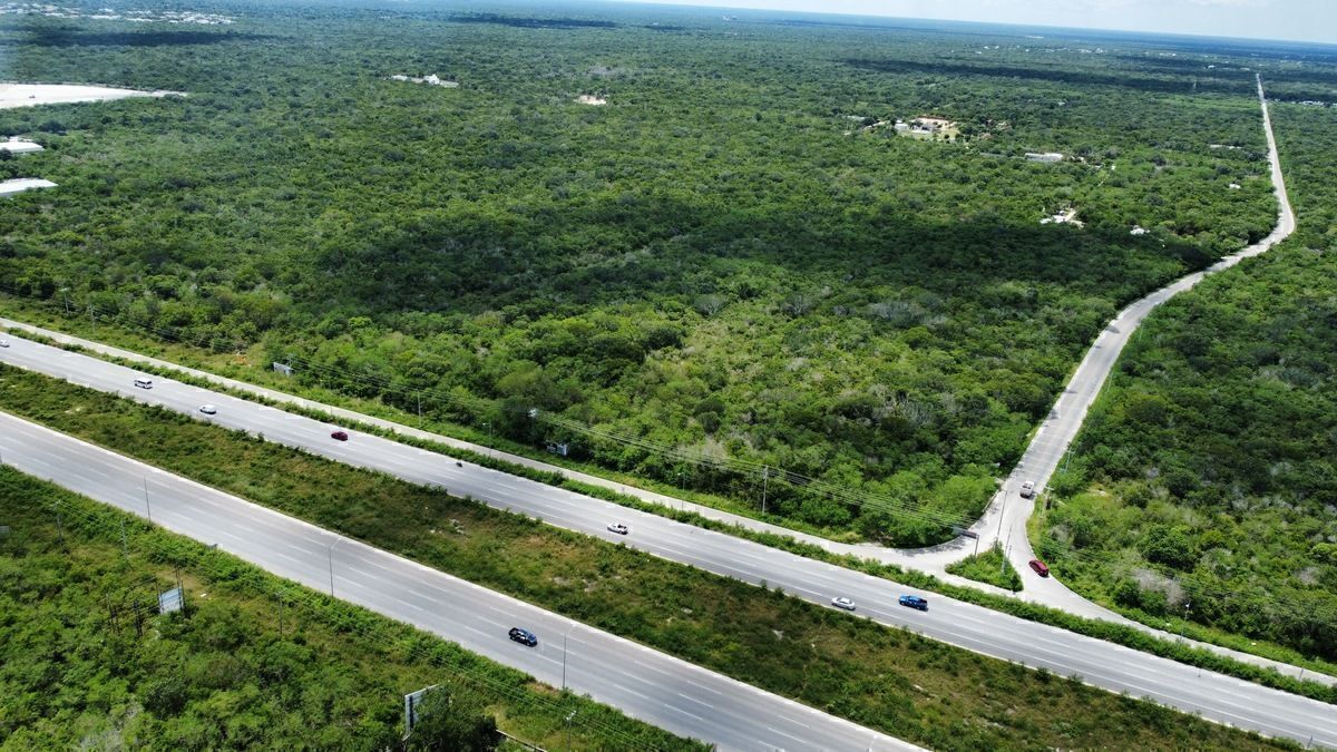 Terreno en Tamanché, Mérida, foto 10 de 13