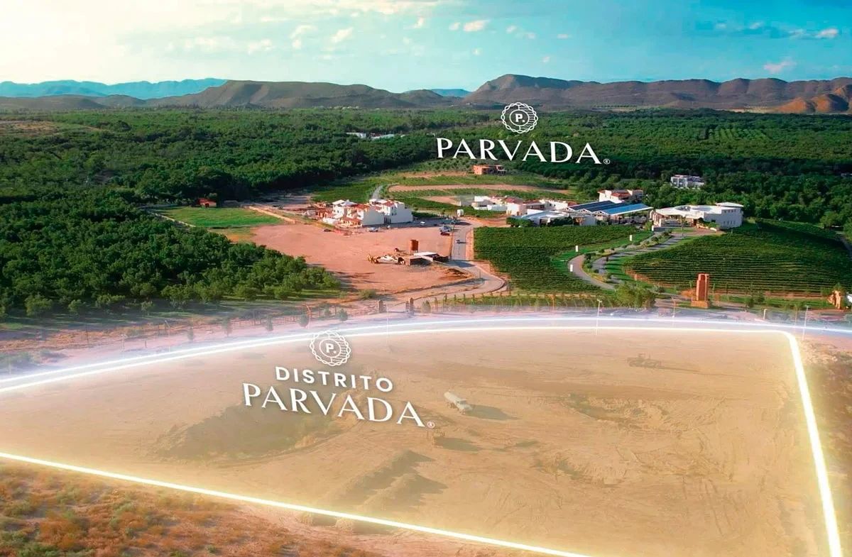 Lot in Del Marquez, Parras, photo 2 of 10