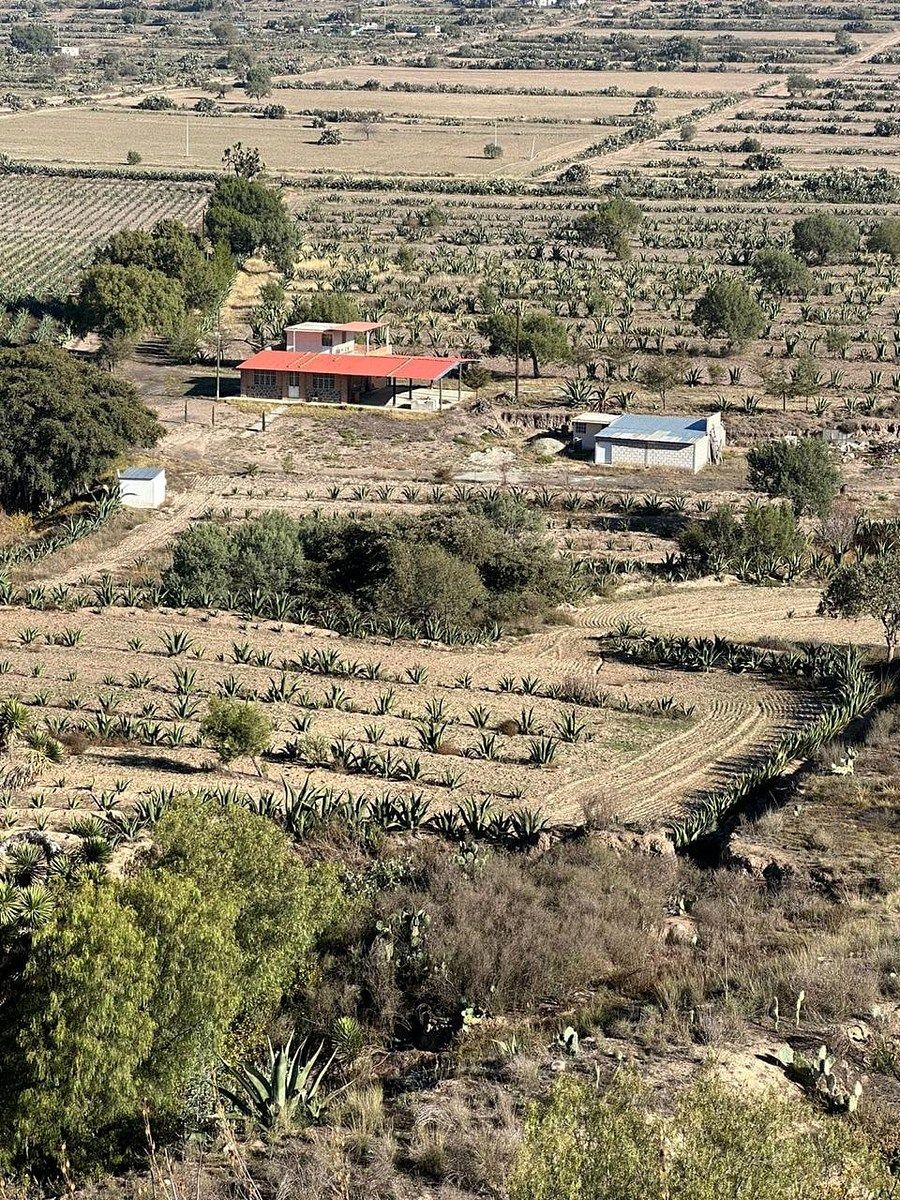RANCHO EN VENTA EPAZOYUCAN, foto 1 de 39