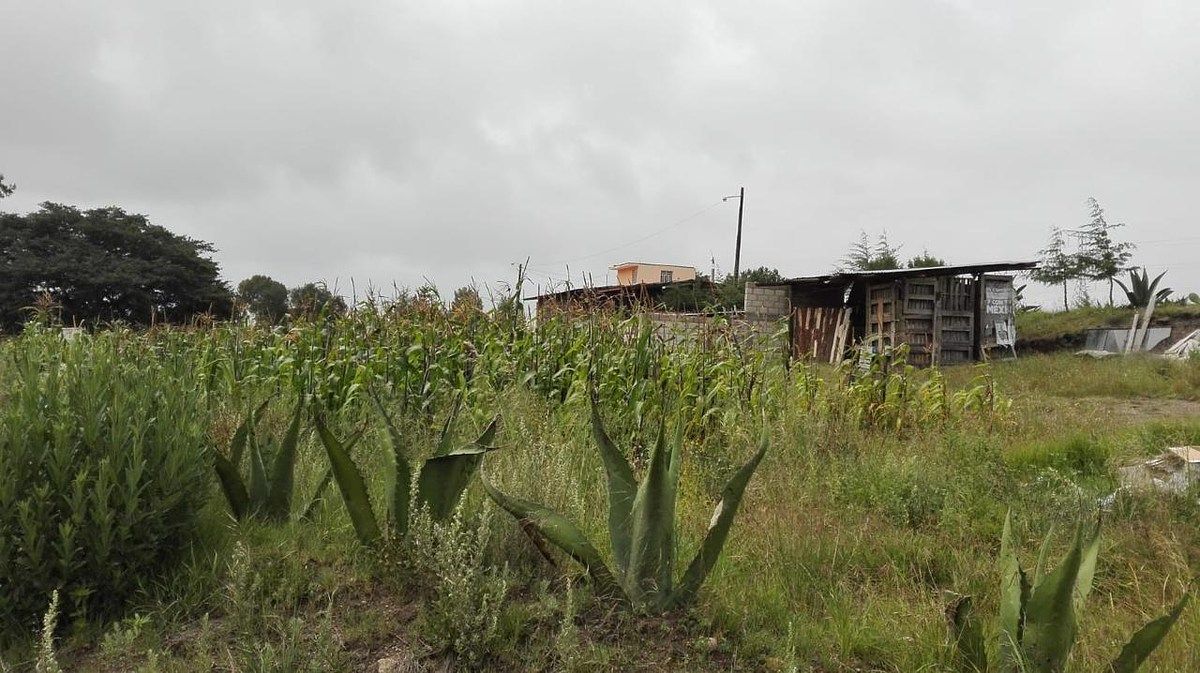 Terreno en La Misión Centro, La Misión, foto 9 de 39