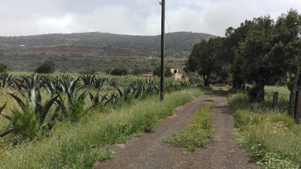 Terreno en La Misión Centro, La Misión, foto 10 de 39