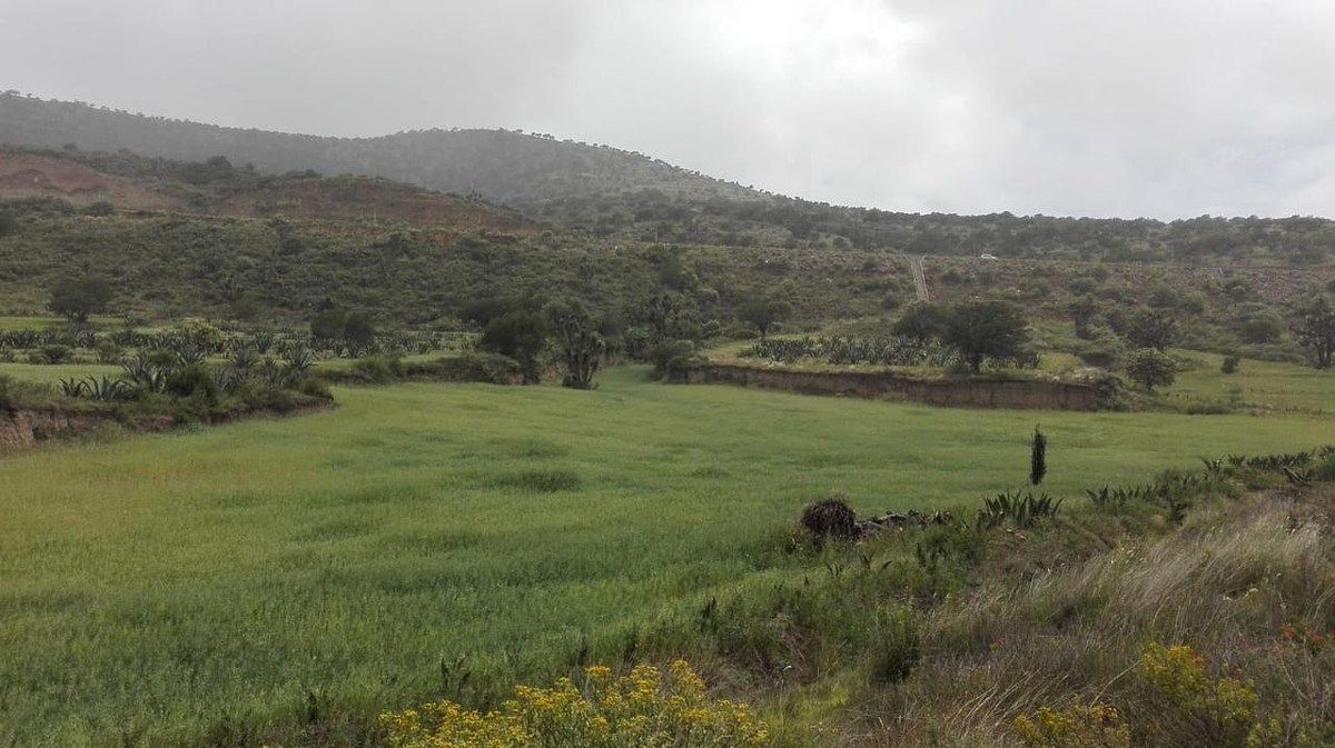 Terreno en La Misión Centro, La Misión, foto 11 de 39