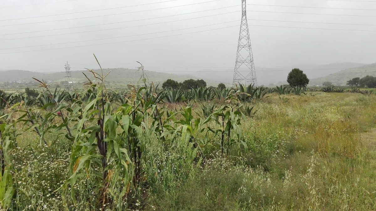 Terreno en La Misión Centro, La Misión, foto 12 de 39