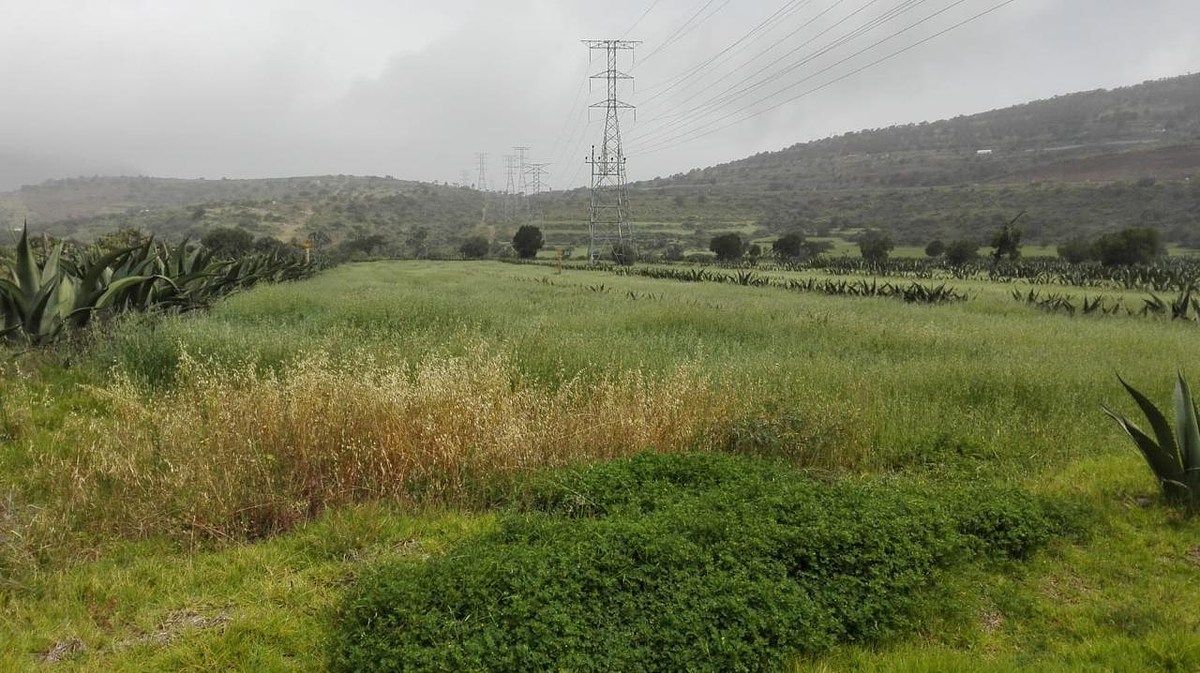 Terreno en La Misión Centro, La Misión, foto 16 de 39