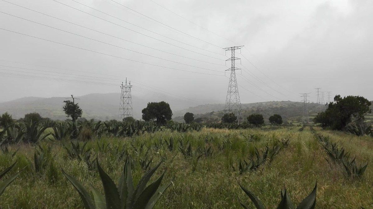 Terreno en La Misión Centro, La Misión, foto 18 de 39