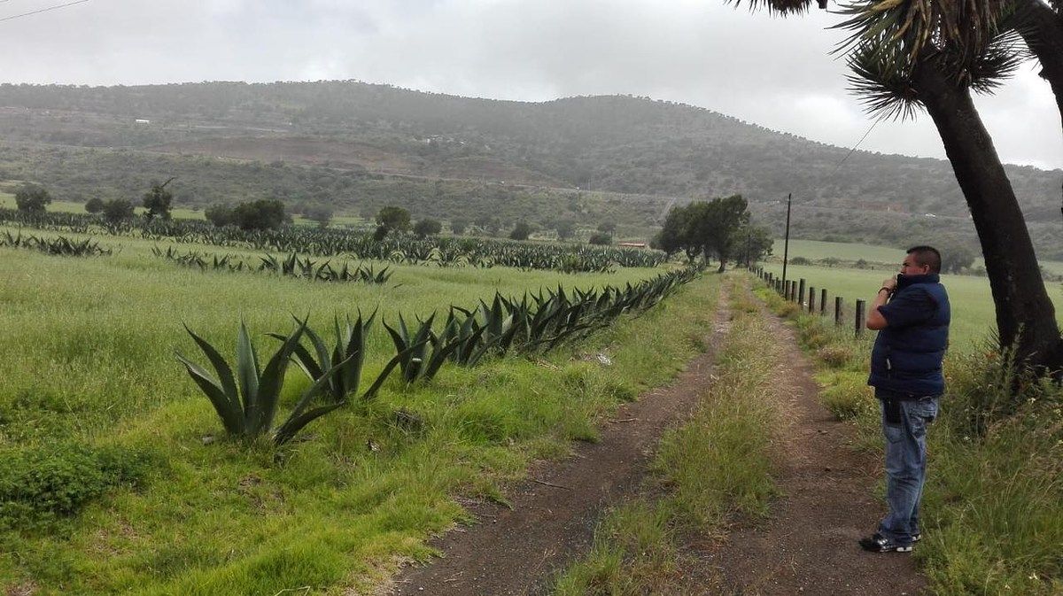 Terreno en La Misión Centro, La Misión, foto 19 de 39