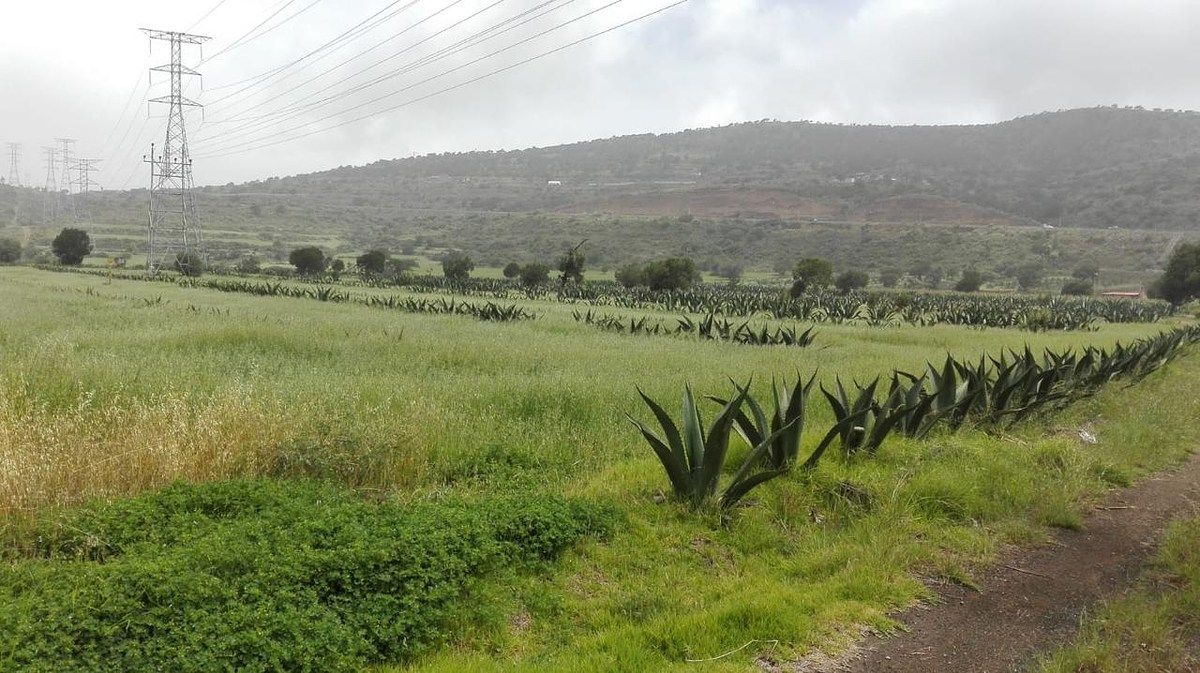 Terreno en La Misión Centro, La Misión, foto 21 de 39