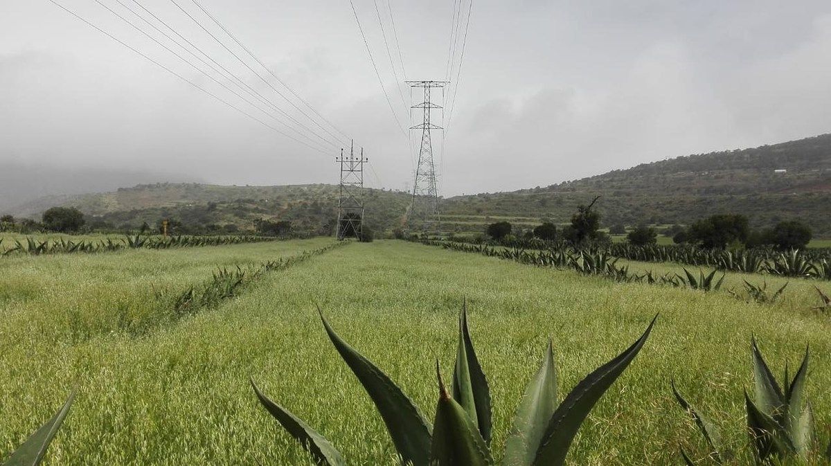 Terreno en La Misión Centro, La Misión, foto 25 de 39