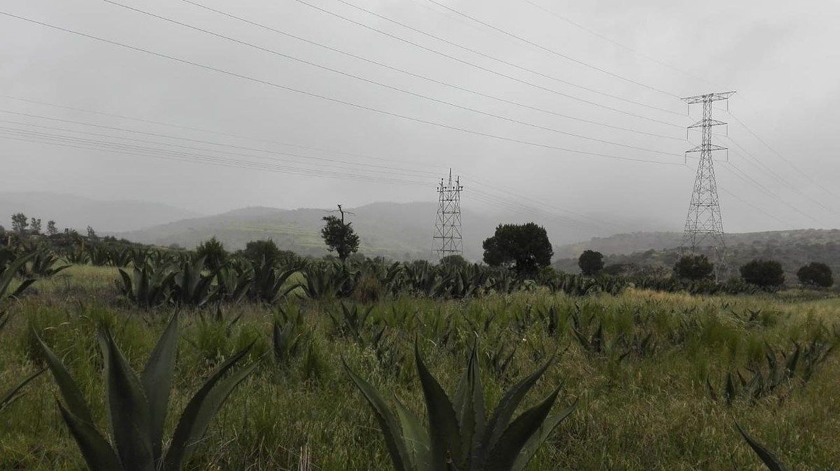 Terreno en La Misión Centro, La Misión, foto 28 de 39