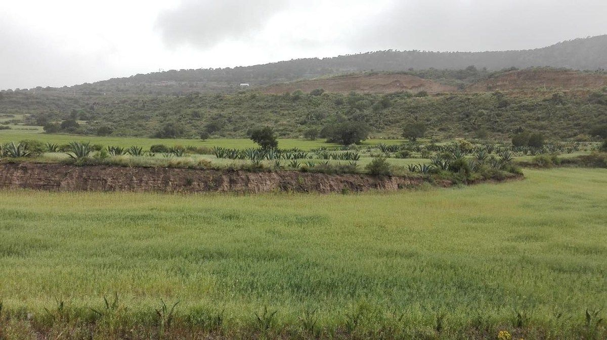Terreno en La Misión Centro, La Misión, foto 29 de 39