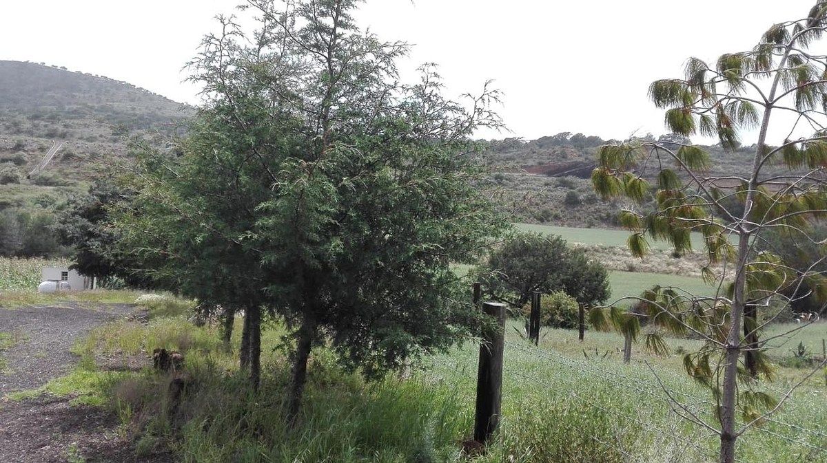 Terreno en La Misión Centro, La Misión, foto 37 de 39