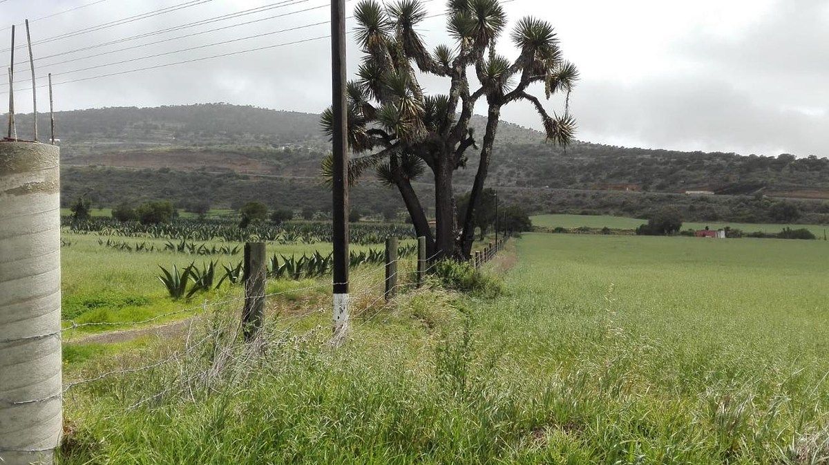 Terreno en La Misión Centro, La Misión, foto 38 de 39