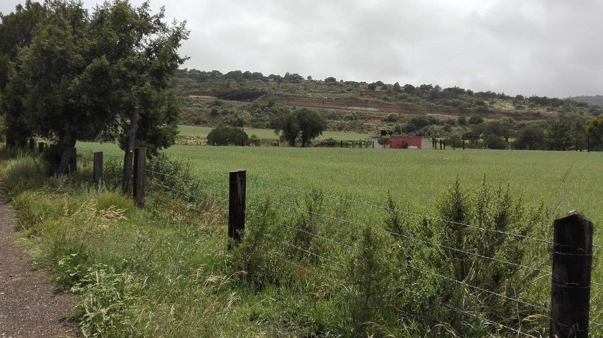 Terreno en La Misión Centro, La Misión, foto 39 de 39