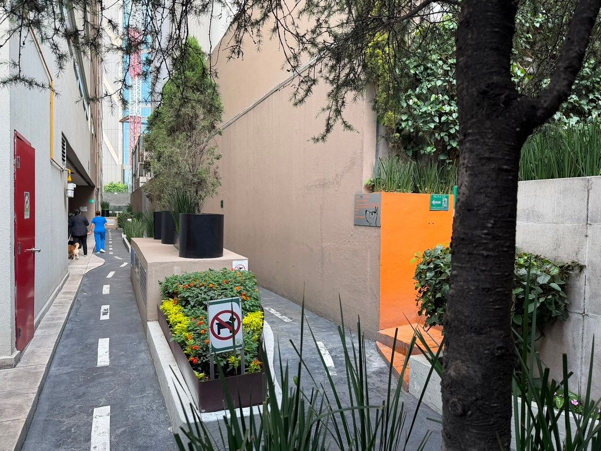 Apartamento em Irrigación, Miguel Hidalgo, foto 15 de 17