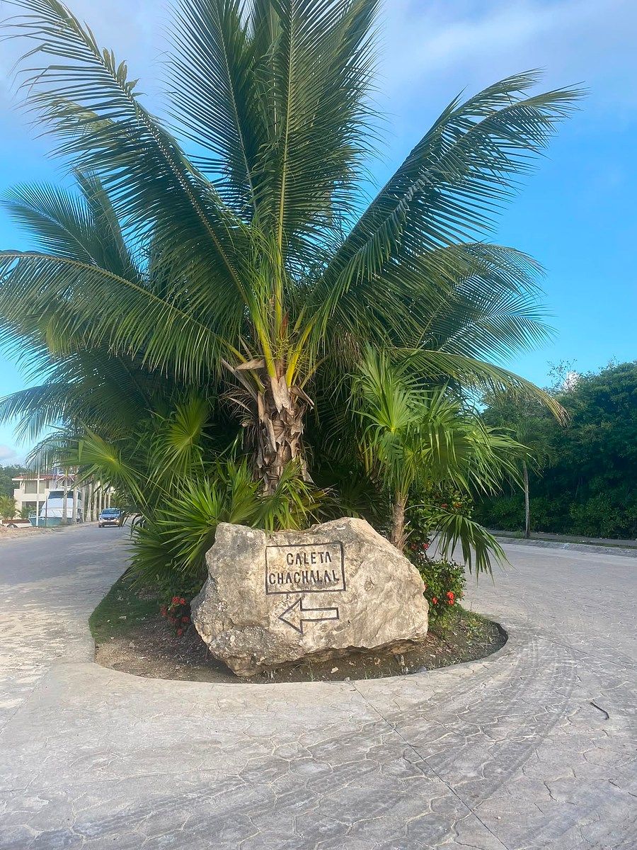 Terreno en Puerto Aventuras, Playa del Carmen, foto 2 de 2