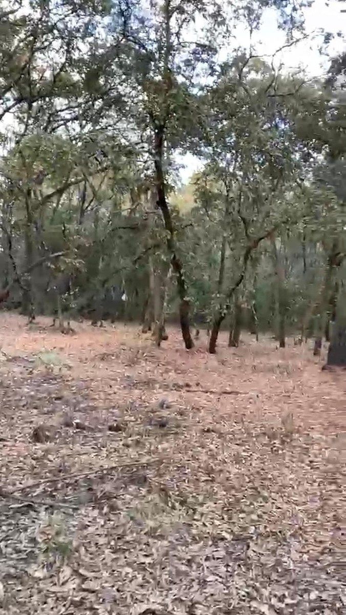 Lote em Villa del Carbón, Villa del Carbón, foto 3 de 30