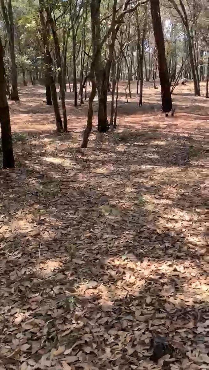 Lote em Villa del Carbón, Villa del Carbón, foto 5 de 30