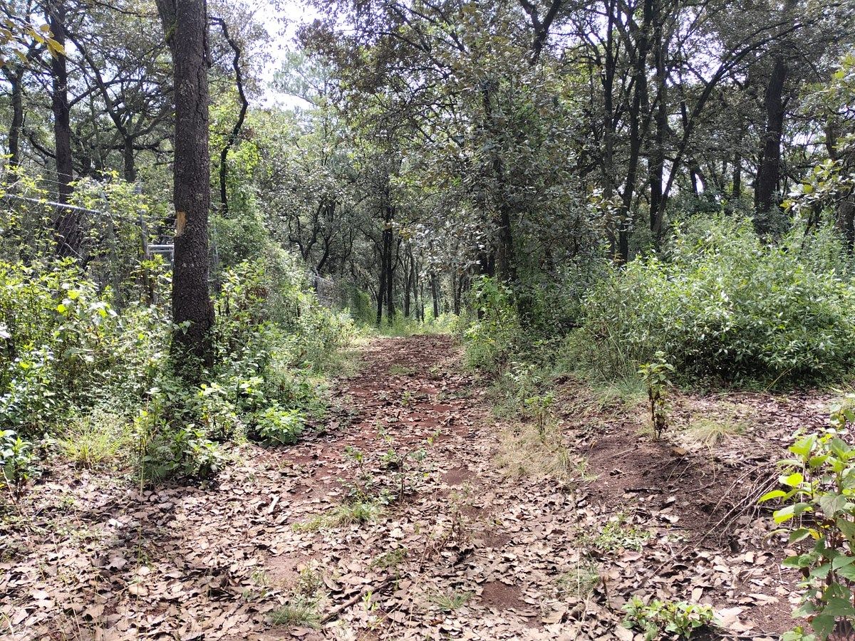 Lote em Villa del Carbón, Villa del Carbón, foto 6 de 30