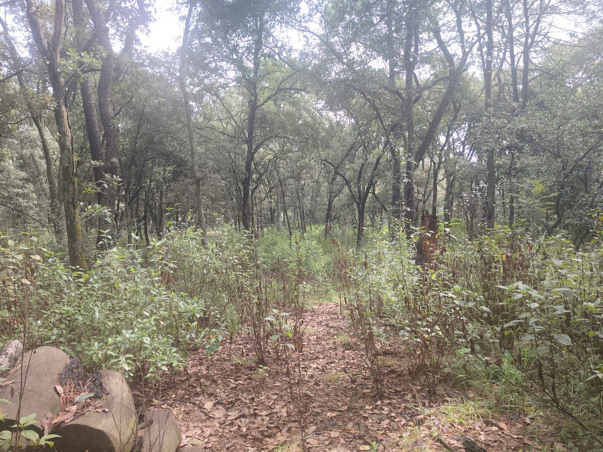 Terreno à venda em Villa del Carbón, Estado do México, foto 1 de 30