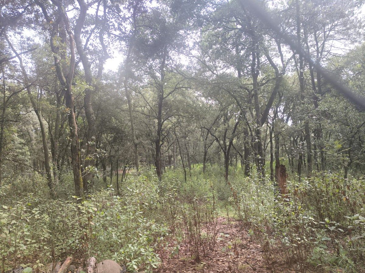 Lote em Villa del Carbón, Villa del Carbón, foto 10 de 30