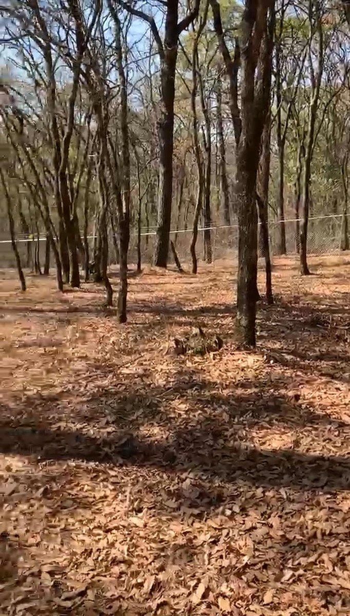 Lote em Villa del Carbón, Villa del Carbón, foto 11 de 30