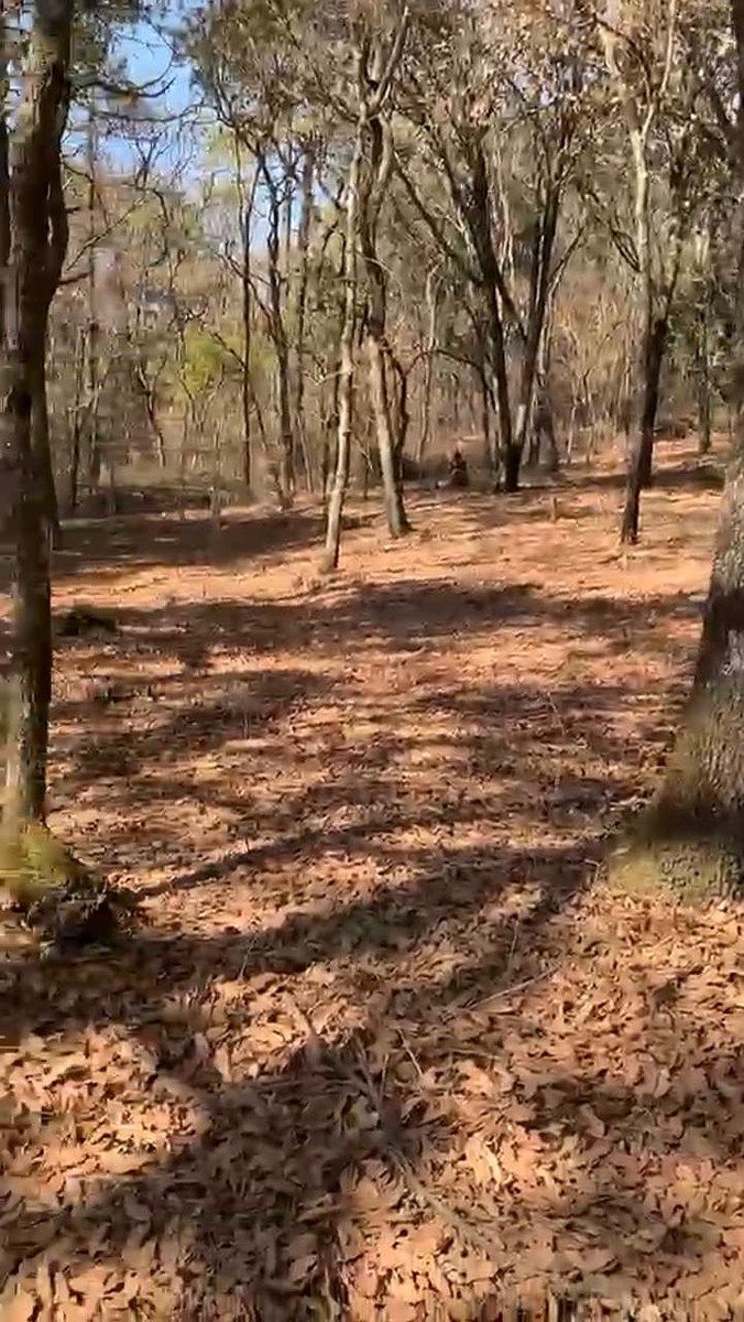 Lote em Villa del Carbón, Villa del Carbón, foto 13 de 30