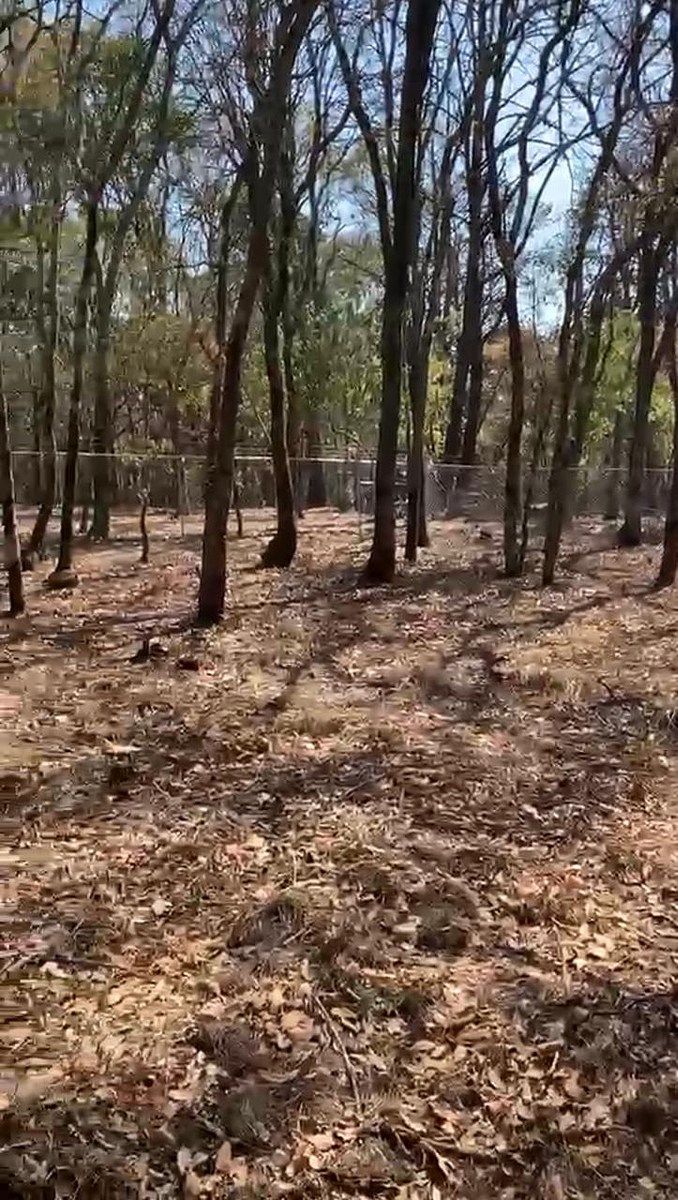Lote em Villa del Carbón, Villa del Carbón, foto 14 de 30