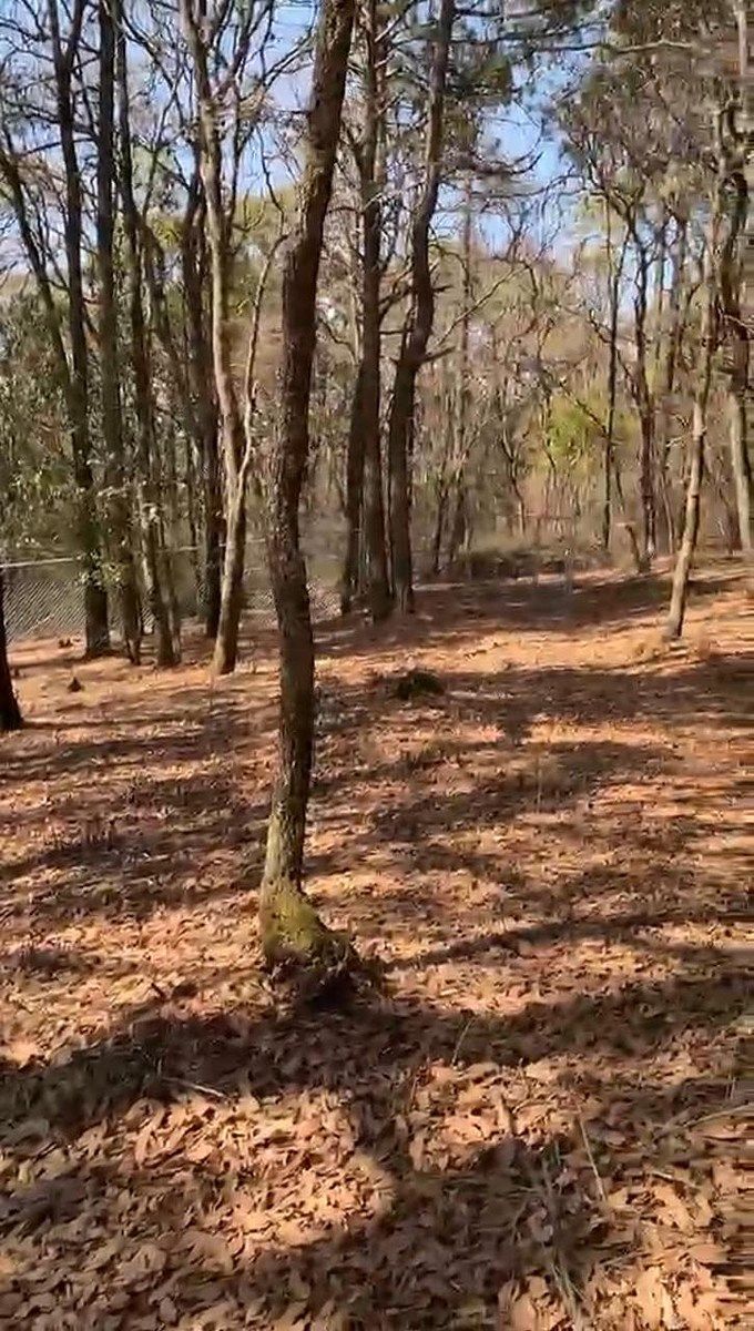 Lote em Villa del Carbón, Villa del Carbón, foto 16 de 30
