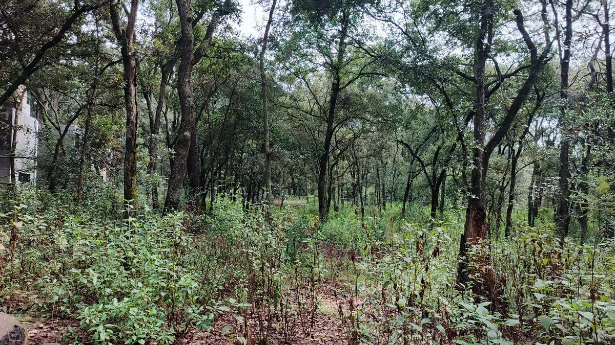 Lote em Villa del Carbón, Villa del Carbón, foto 17 de 30