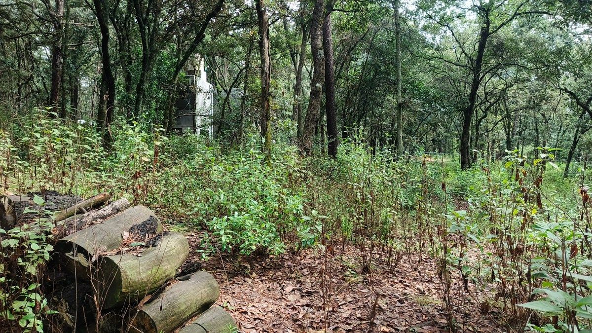 Lote em Villa del Carbón, Villa del Carbón, foto 18 de 30