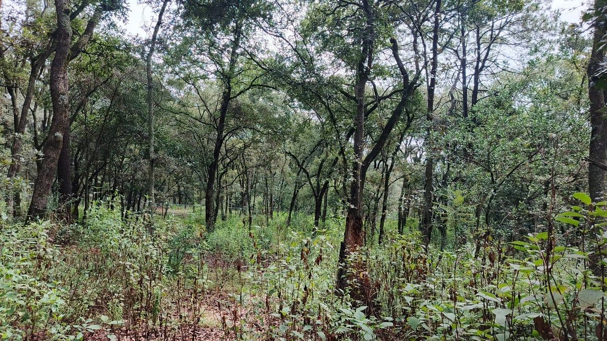 Lote em Villa del Carbón, Villa del Carbón, foto 19 de 30