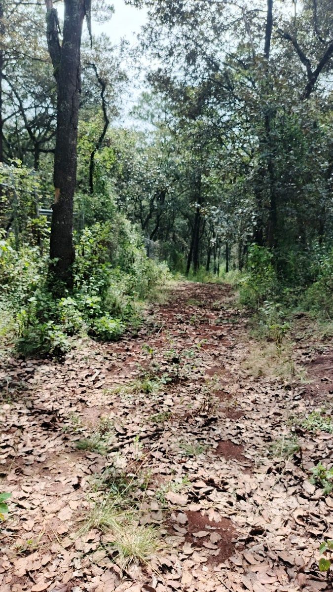 Lote em Villa del Carbón, Villa del Carbón, foto 20 de 30