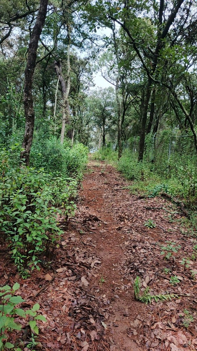 Lote em Villa del Carbón, Villa del Carbón, foto 21 de 30