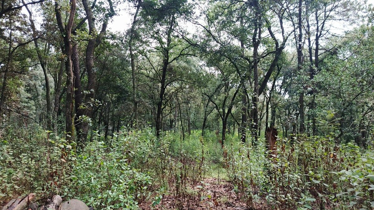 Lote em Villa del Carbón, Villa del Carbón, foto 22 de 30