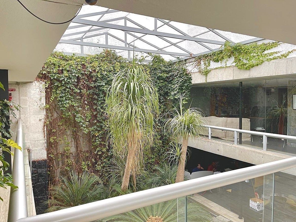 House with Commercial Use in Lomas de Reforma, Miguel Hidalgo, photo 4 of 18