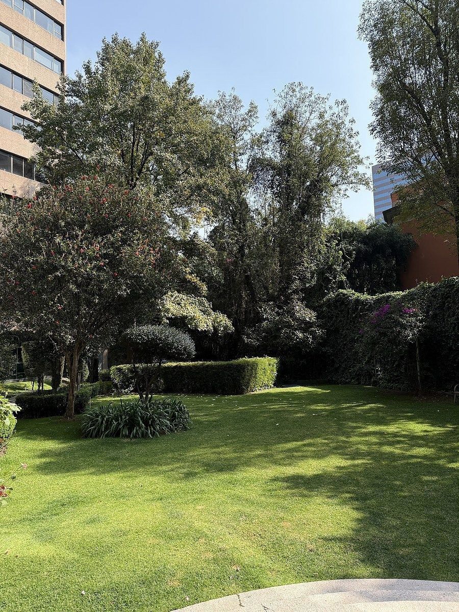 Apartamento em Lomas de Chapultepec I Sección, Miguel Hidalgo, foto 6 de 49