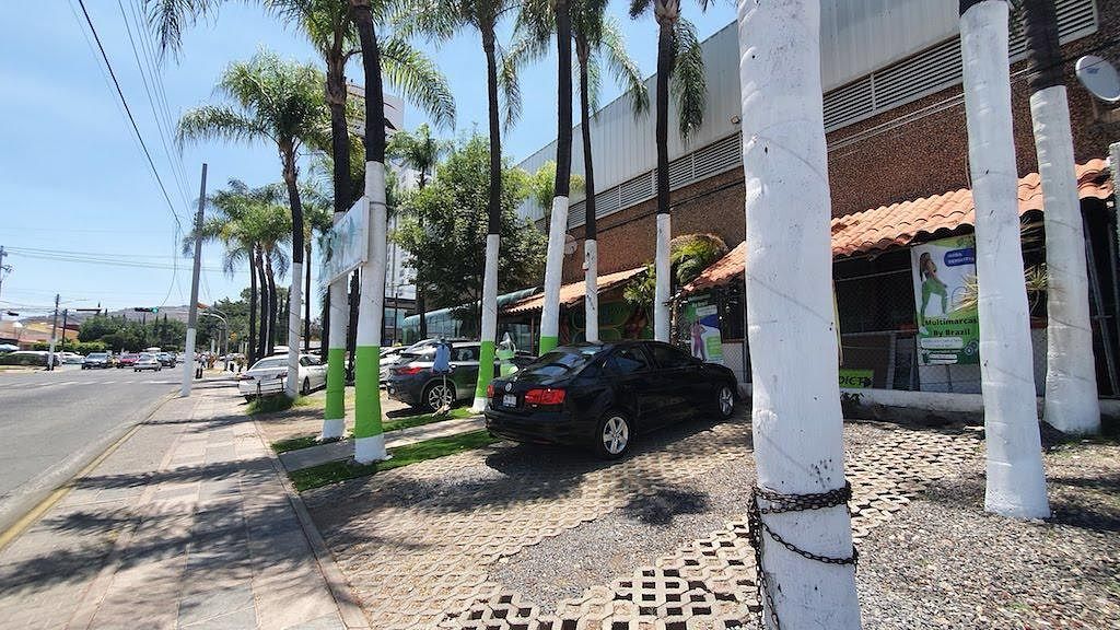 Terreno en Arcos de Guadalupe, Zapopan, foto 5 de 10