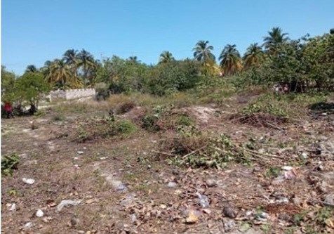 Lote em Telchac Puerto, Telchac Puerto, foto 2 de 5