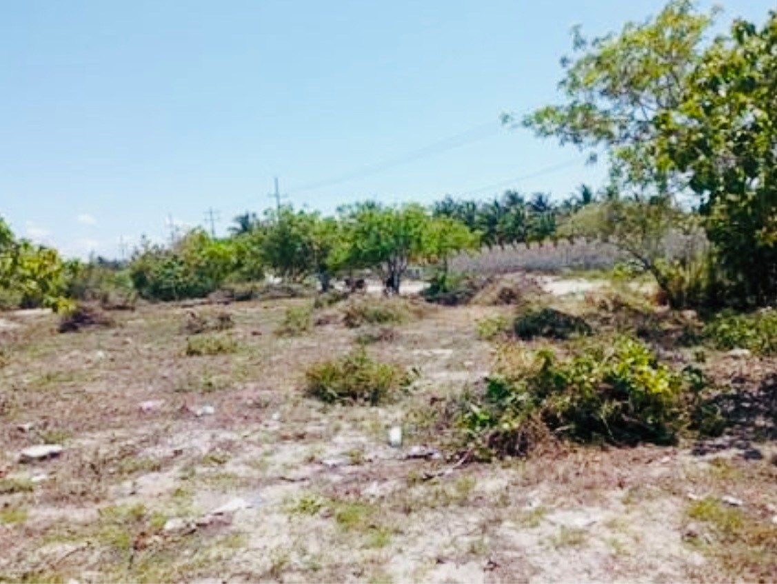 EXCELENTE TERRENO NA ESTRADA EM ÁREA COMERCIAL E NA ESQUINA, foto 1 de 5