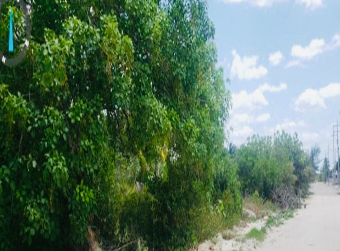 Lote em Telchac Puerto, Telchac Puerto, foto 3 de 5