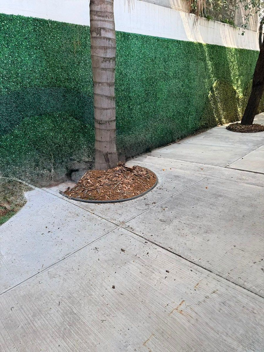 Local em Del Valle, San Pedro Garza García, foto 12 de 12