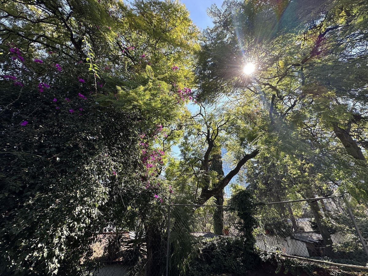 Casa en Guadalupe Inn, Álvaro Obregón, foto 33 de 48